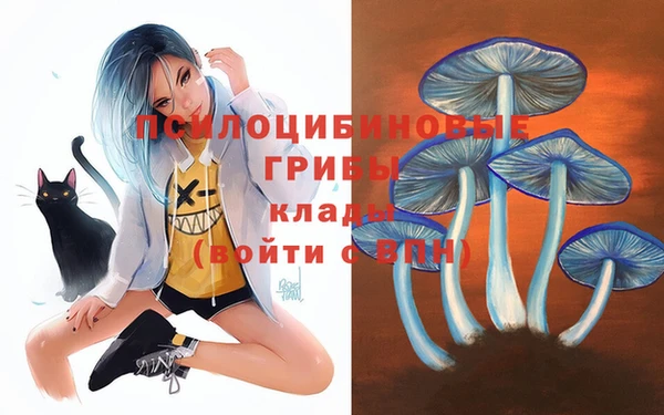 тгк Баксан