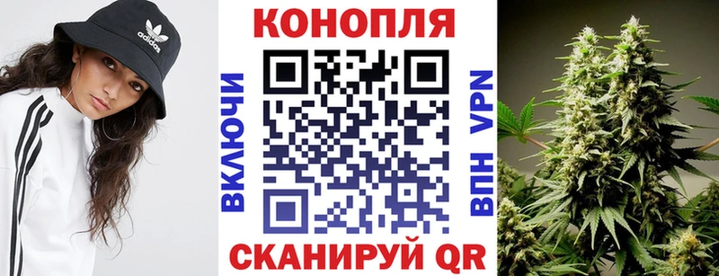 ссылка на мегу ссылка купить наркоту Кудымкар Шишки марихуана гибрид